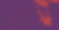 fond-homepage.jpg