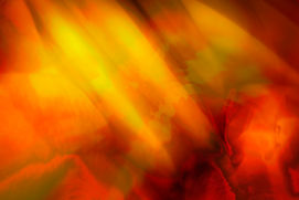 AUGUST 7 2021 DSF3872.jpg