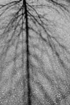 July 23 2022 DSF0620.jpg