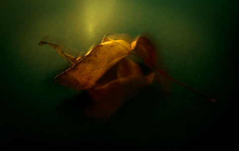 May 24 2022 DSF6698 greenish.jpg