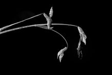 Oct 3 2021 Merged.jpg