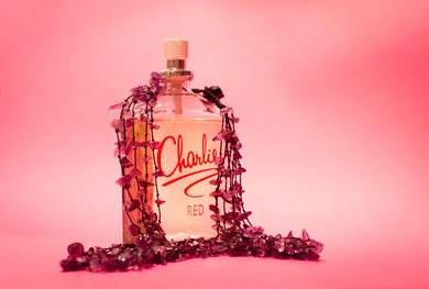 Jan 16 S0162073-2.jpg