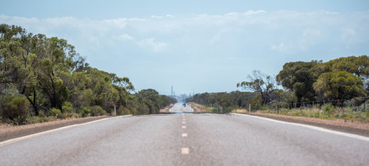 Nov 27 2021 DSC_4080.jpg