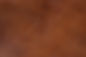 brown leather.jpeg