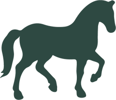 Horse Assisted Life Coaching