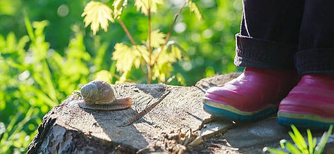 snail_edited.jpg