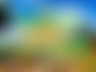 【2024年初のインド公演決まりました‼️】