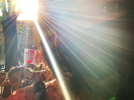 【趣味✨寺院巡り】