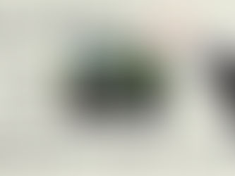 [실종동물찾기] 러시안블루 코코를 찾습니다. (서울시 송파구 실종동물 방송)

