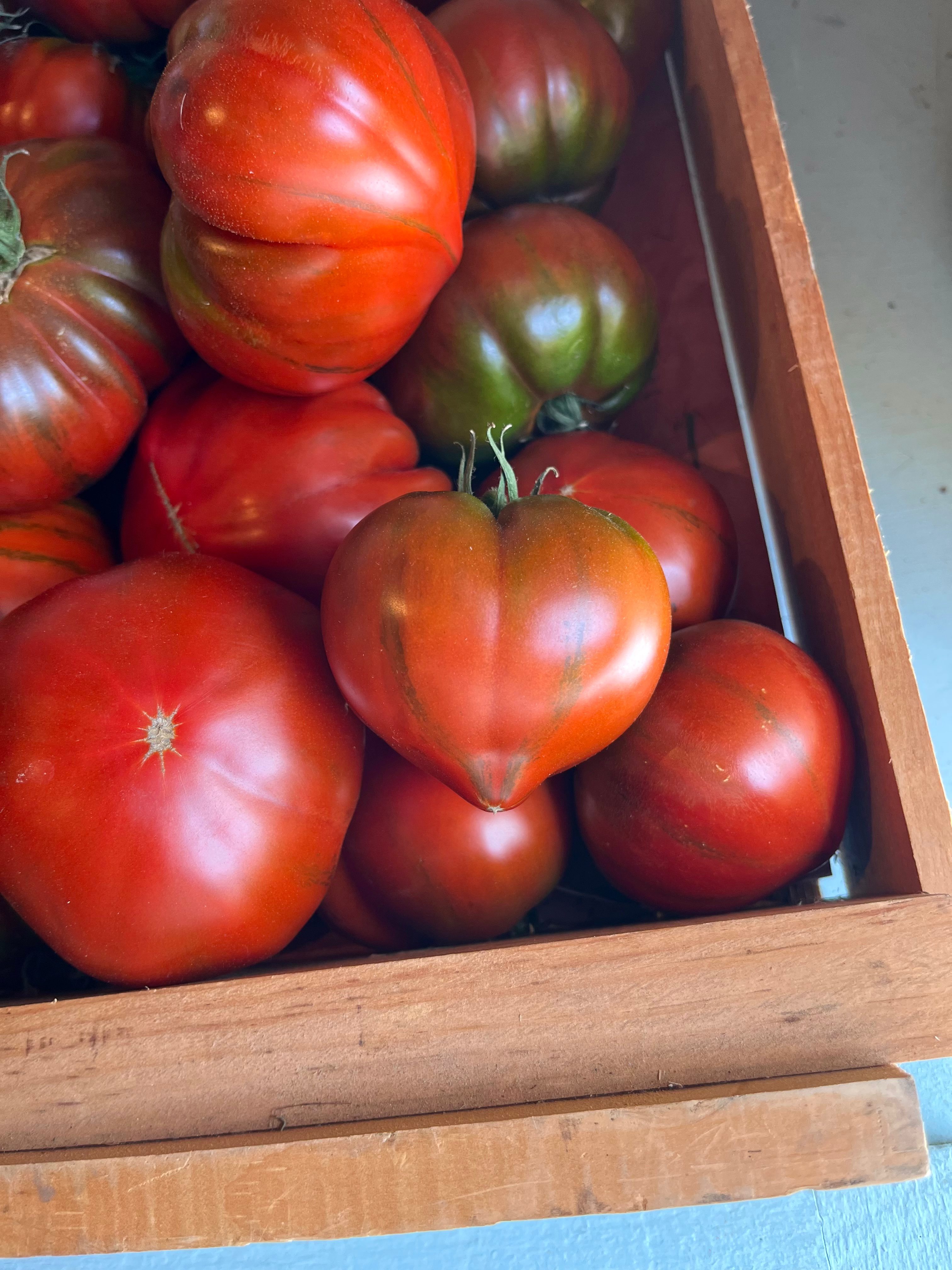 Free-Choice CSA Share: Extra Large