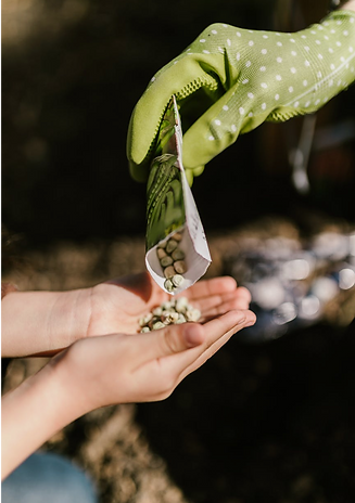 Pexels Photo by Ave Calvar Martinez_edit
