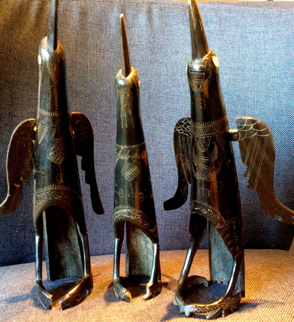 Pássaros de "Java"