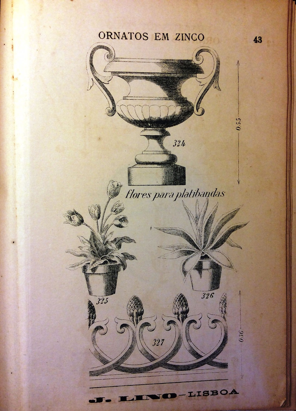 Catálogo J.Lino 1889
