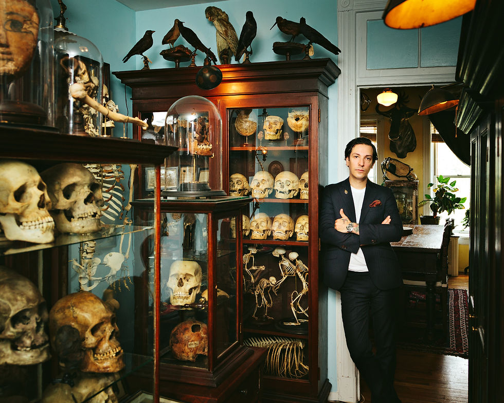 Ryan Matthew Cohn-Oddities collectio