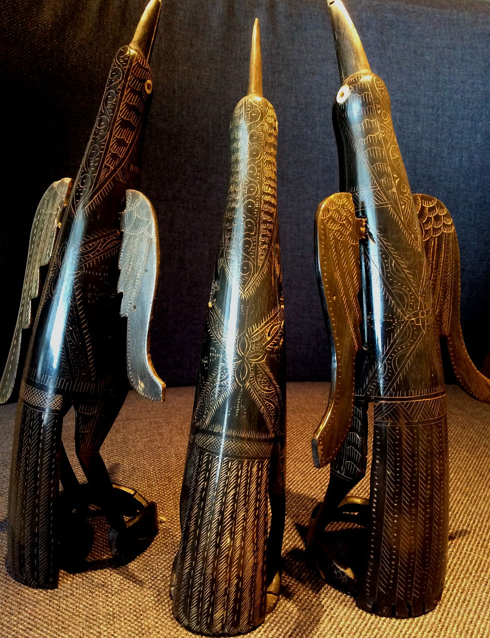 Pássaros de "Java"