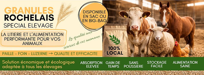 gr animaux.jpeg