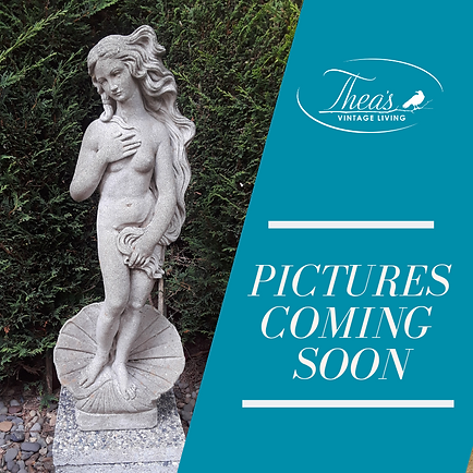 Pictures coming soon.png