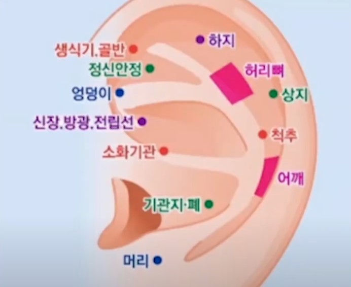 귀안의 혈점 소개 | 출장안마 | 라인마사지