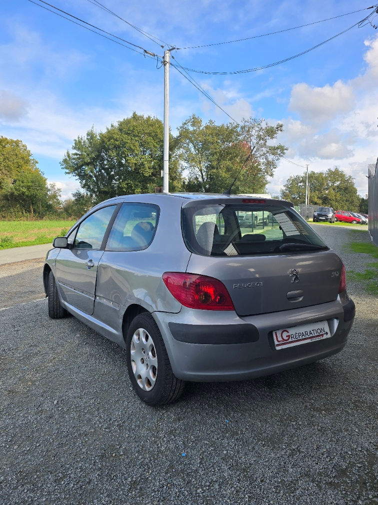 Miniature : Peugeot 307 – 1.4i - 2005