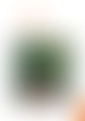 « La voix du silence » de Richard Bunod avec une préface de Christina Goh