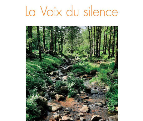 « La voix du silence » de Richard Bunod avec une préface de Christina Goh