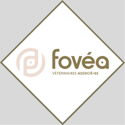 FOVEA
