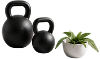 Kb,s planten_edited.png