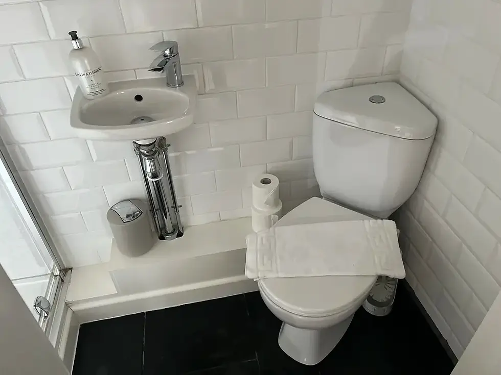 toilet