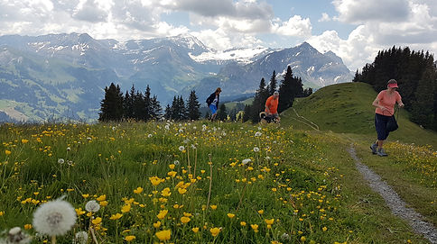 Gstaad 3 verkleinert.jpg