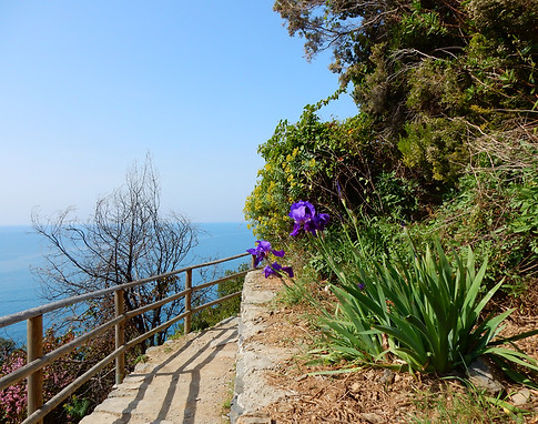 Cinque Terre-7.jpg