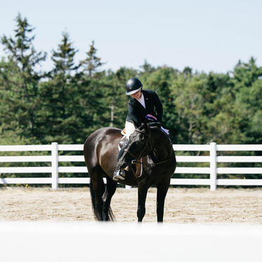 Choosing Joy in the Ring: Erin and Morocco