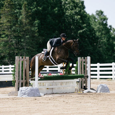 Nova Scotia Equestrian Photographer