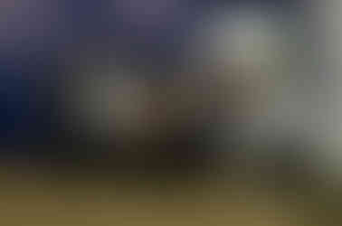 The Royal Winter Fair medium pony hunter division group picture in the warm up ring