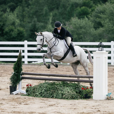 Finding Her Stride: Junior Equestrian Teaghan & Quicksilver at Coveside Stables