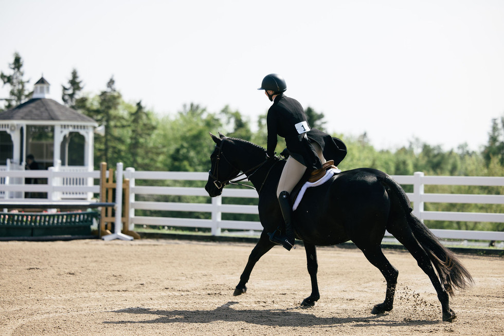 Equestrian rider Erin cantering through the hunter ring during a competitive show season