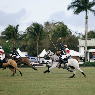 Polo in Wellington, Florida | A First Visit to the National Polo Center