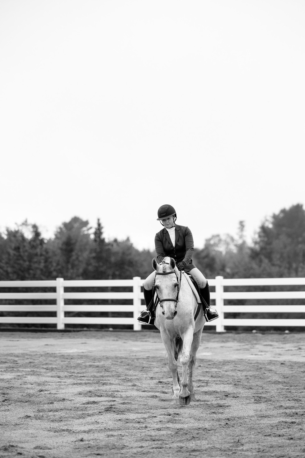 Grey horse showing Adult Amateurs at the Coveside Classic horseshow in Chester, Nova Scotia.