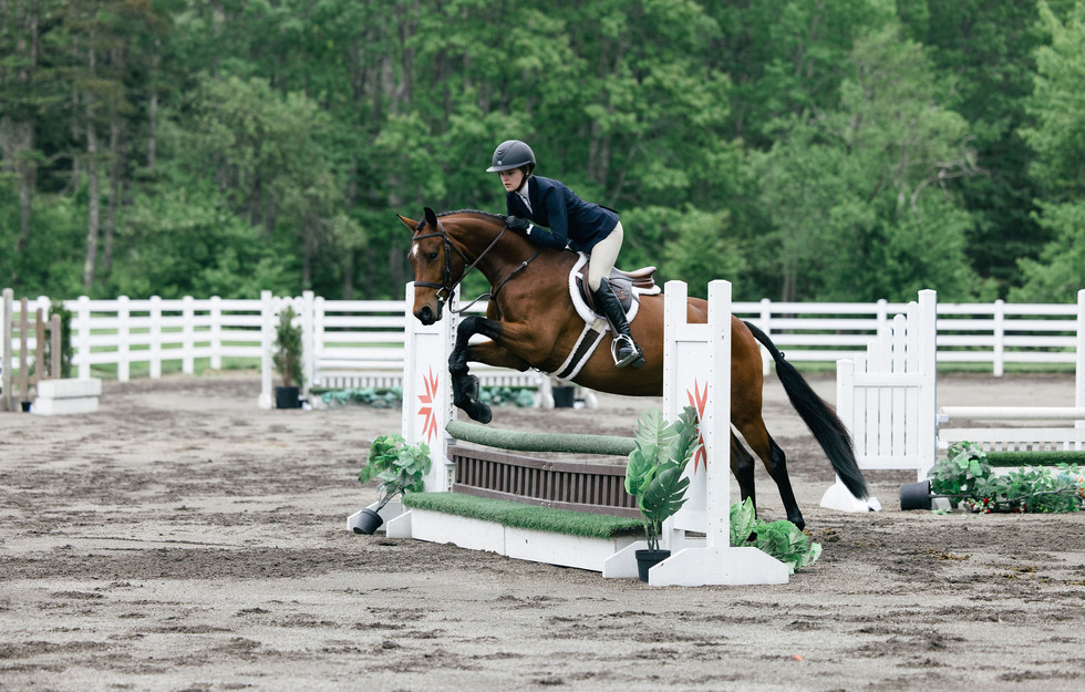 Empress East horse jumping a hunter round at the Coveside Series Show in Nova Scotia