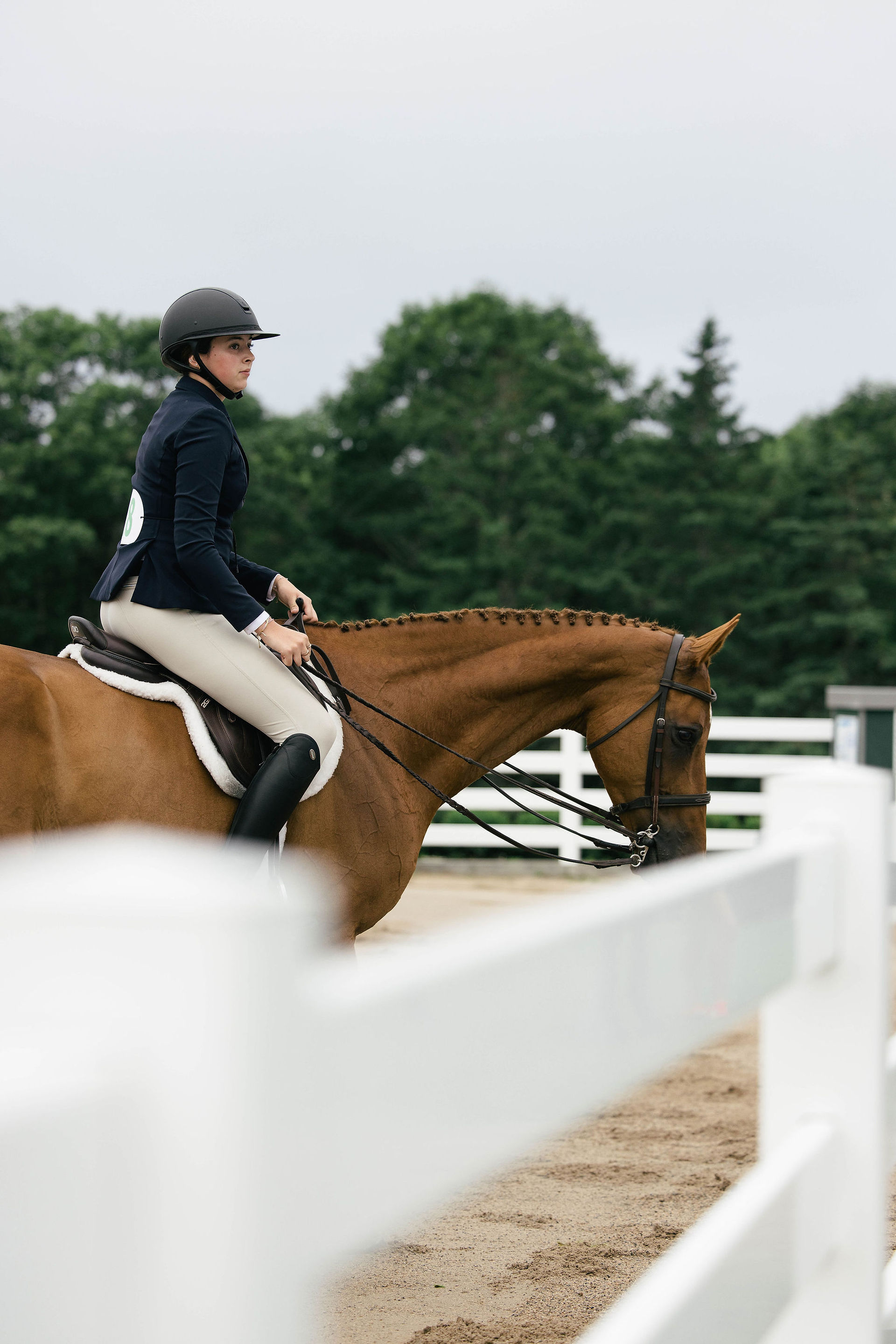 Rider exiting the ring with horse after a successful round