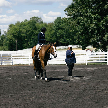 Coaching with Intention: Ainslie Matheson of AM Equestrian