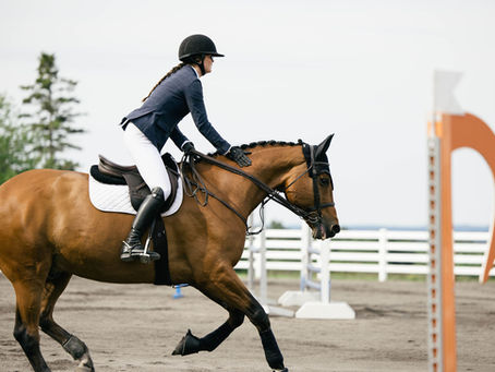 Finding Your Way Back: An Adult Amateur's Return to Showing