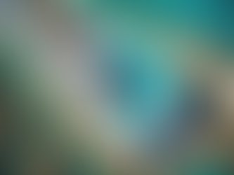 Tips for Booking Your Dream Cruise Vacation