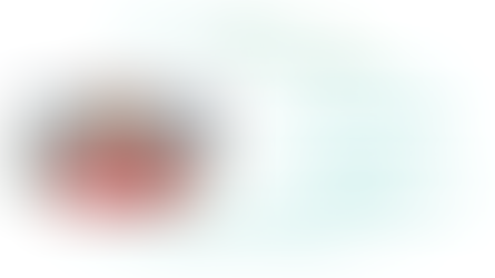 Dossier avril 2021 : le vote par Internet