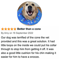Testimonials (1).png