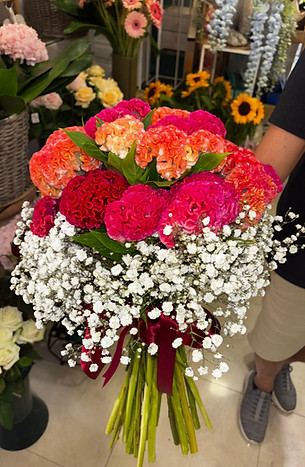 WhatsApp Image 2025-09-22 at 16.36.38 (1).jpeg