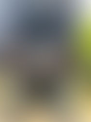 Kepakaran Kami, Ketenangan Fikiran Anda.