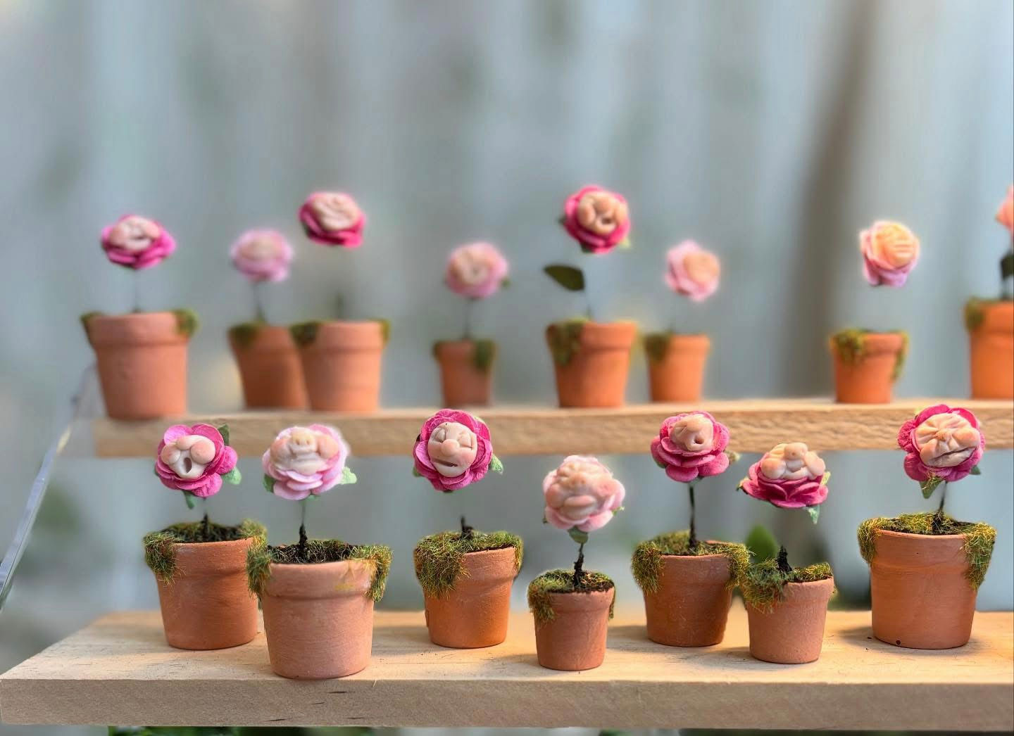 Whimsical Wonderland Flowers – Faces in Terracotta Pots