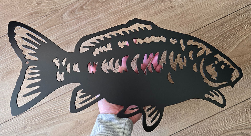 Thumbnail: Mirror Carp Wall Art