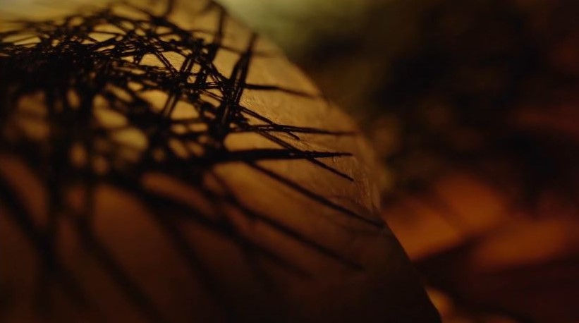 bucci nodes video screenshot crop.jpg