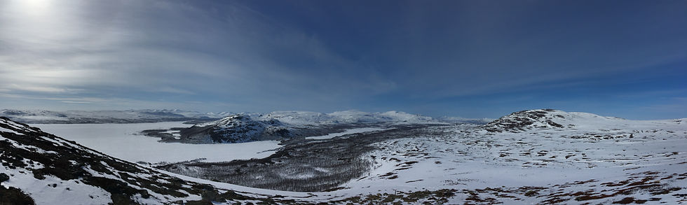 SAANA PANO.jpg